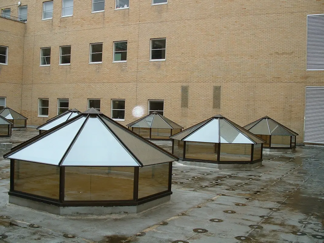 Flat Roof Skylights Mile End